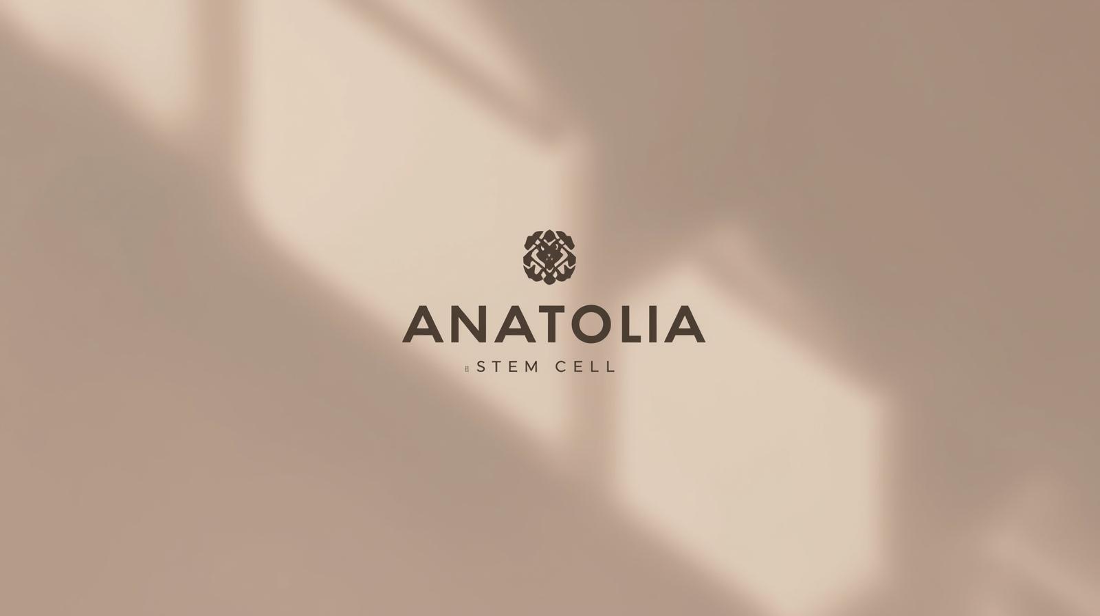 stemcareanatolia.com